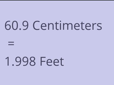 60.9 CM TO FEET