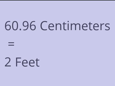 60.96 CM TO FEET