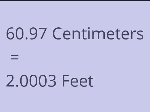 60.97 CM TO FEET