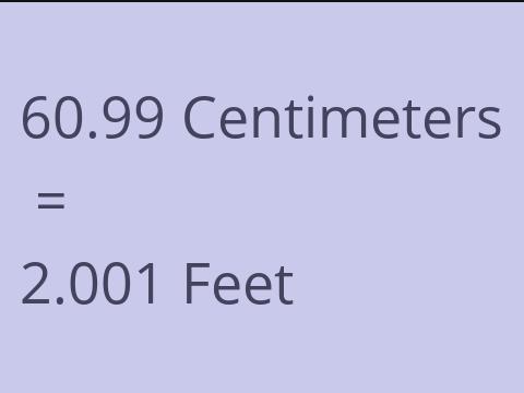 60.99 CM TO FEET