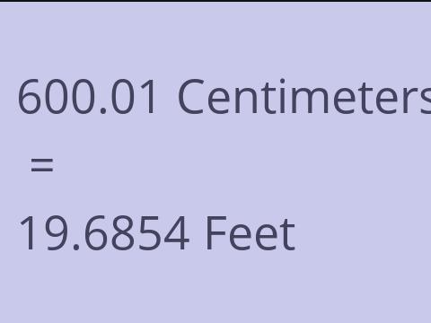 600.01 CM TO FEET