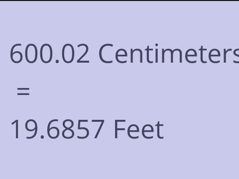 600.02 CM TO FEET