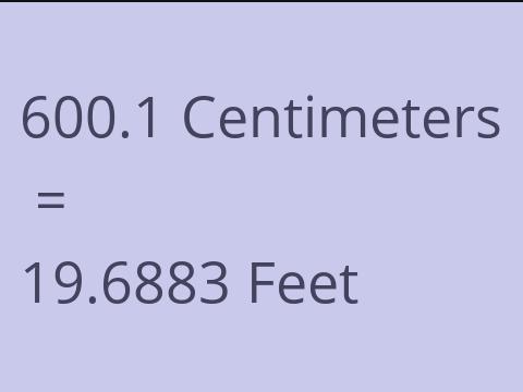 600.1 CM TO FEET