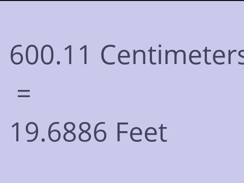 600.11 CM TO FEET