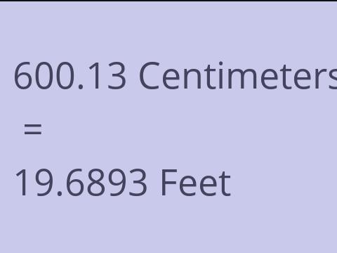 600.13 CM TO FEET