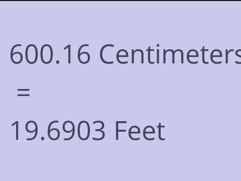 600.16 CM TO FEET