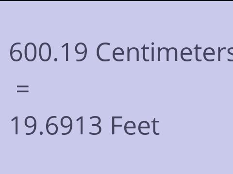 600.19 CM TO FEET