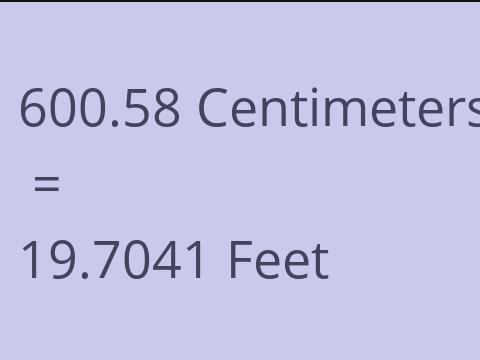 600.58 CM TO FEET