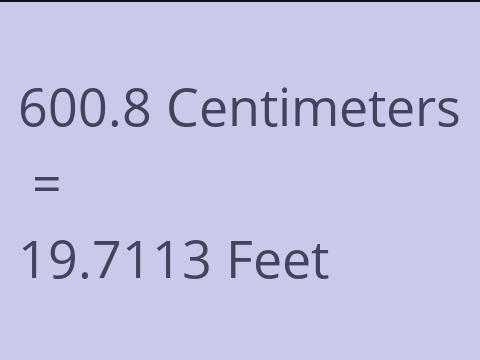 600.8 CM TO FEET