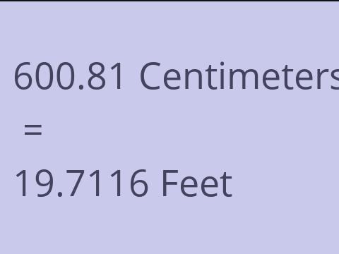 600.81 CM TO FEET