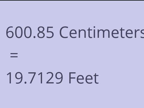 600.85 CM TO FEET