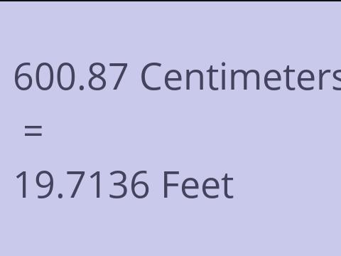 600.87 CM TO FEET