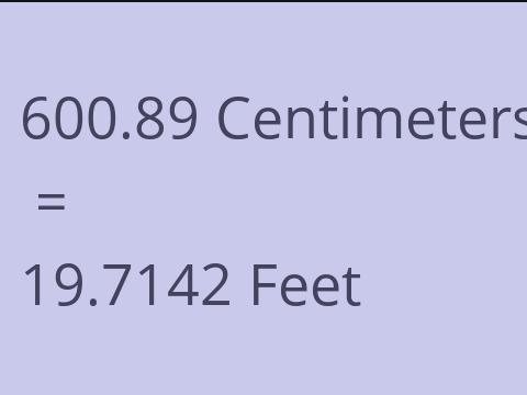 600.89 CM TO FEET