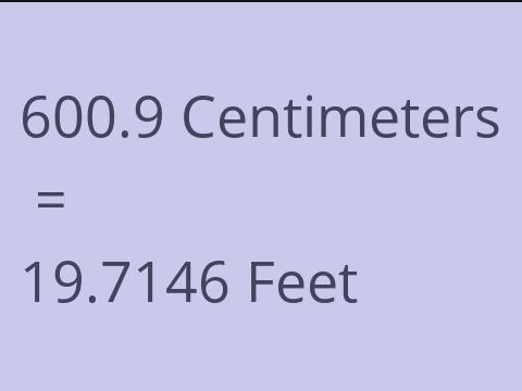 600.9 CM TO FEET