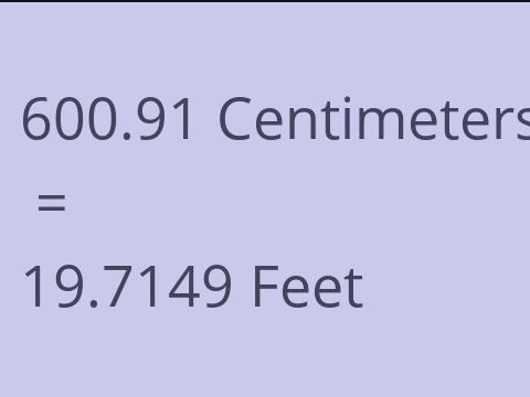 600.91 CM TO FEET