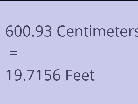 600.93 CM TO FEET