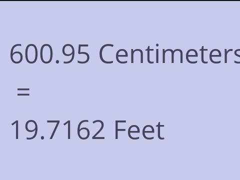 600.95 CM TO FEET