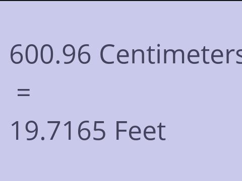 600.96 CM TO FEET