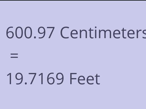 600.97 CM TO FEET