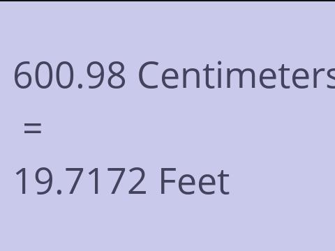 600.98 CM TO FEET