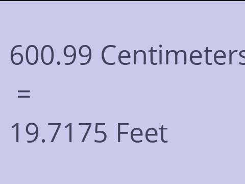 600.99 CM TO FEET