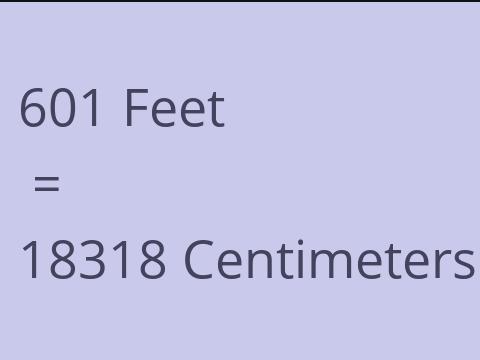 601 FEET TO CM