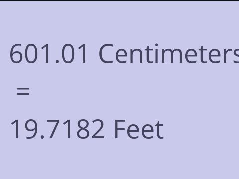 601.01 CM TO FEET