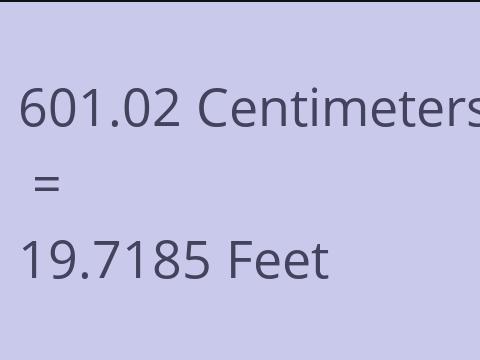 601.02 CM TO FEET