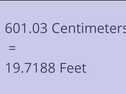 601.03 CM TO FEET