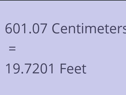 601.07 CM TO FEET