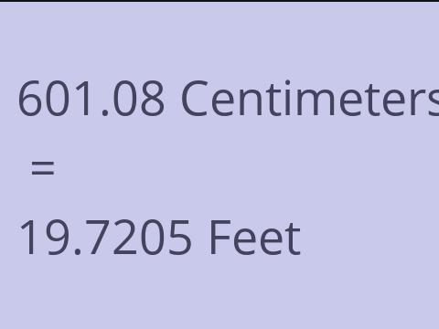 601.08 CM TO FEET