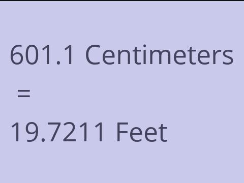 601.1 CM TO FEET