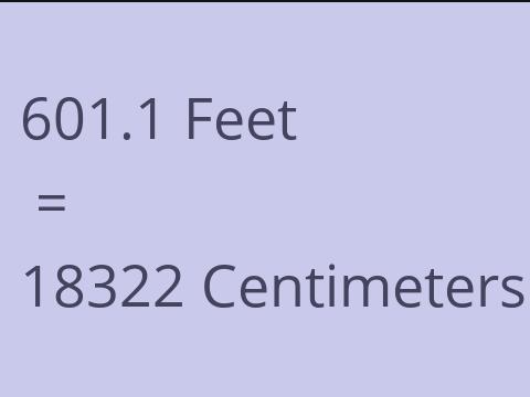 601.1 FEET TO CM