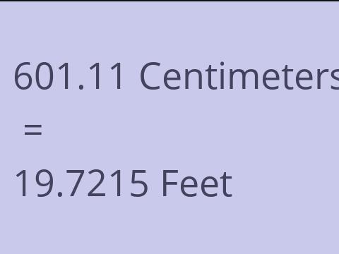 601.11 CM TO FEET