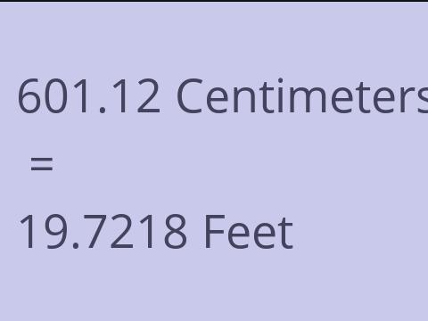 601.12 CM TO FEET