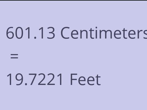 601.13 CM TO FEET