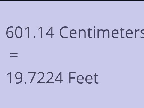 601.14 CM TO FEET