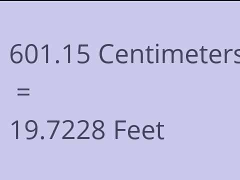 601.15 CM TO FEET