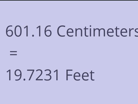 601.16 CM TO FEET