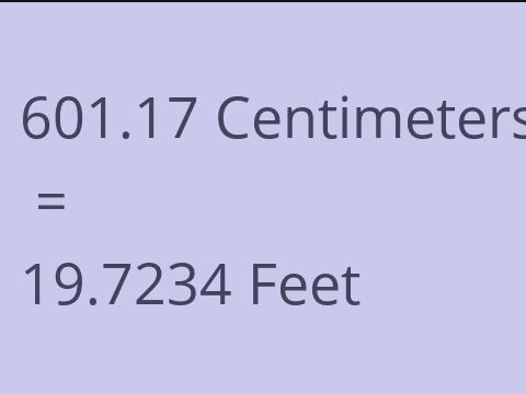 601.17 CM TO FEET