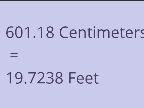 601.18 CM TO FEET