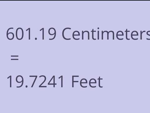 601.19 CM TO FEET