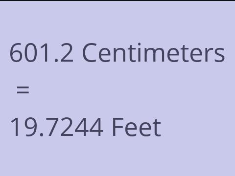 601.2 CM TO FEET