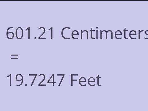 601.21 CM TO FEET