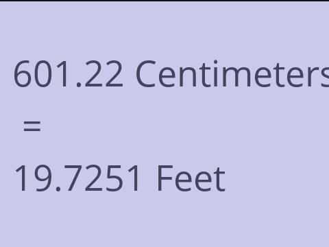 601.22 CM TO FEET