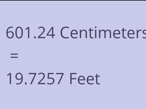 601.24 CM TO FEET