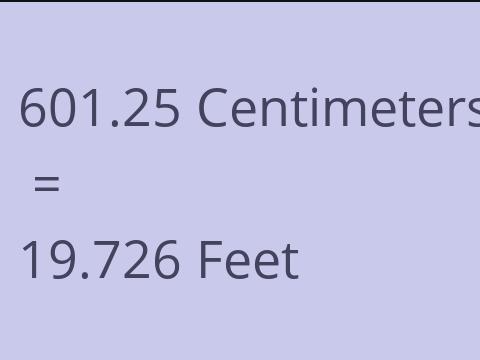 601.25 CM TO FEET