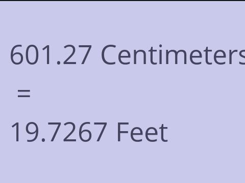 601.27 CM TO FEET