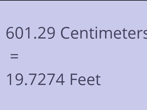 601.29 CM TO FEET