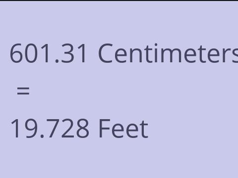 601.31 CM TO FEET